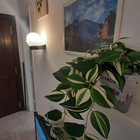 Estudio Moderno En Paraiso San Telmo Cerca De La Playa بويرتو ذي لا كروز